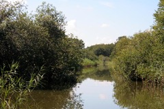 Killikus&reg; Fotographie